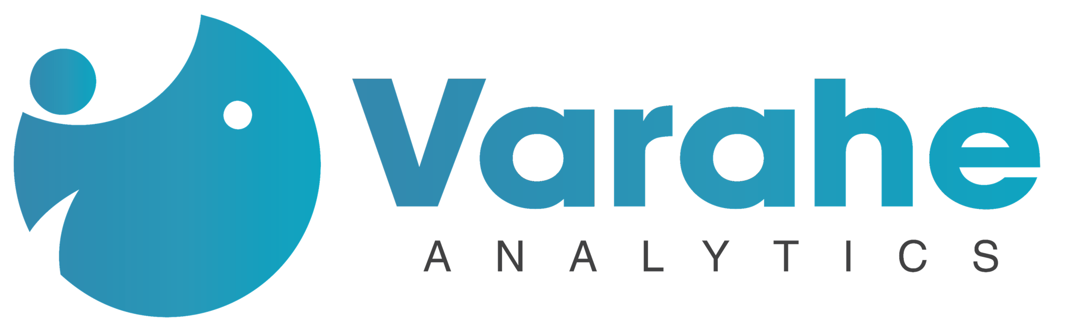 Varahe Analytics Logo
